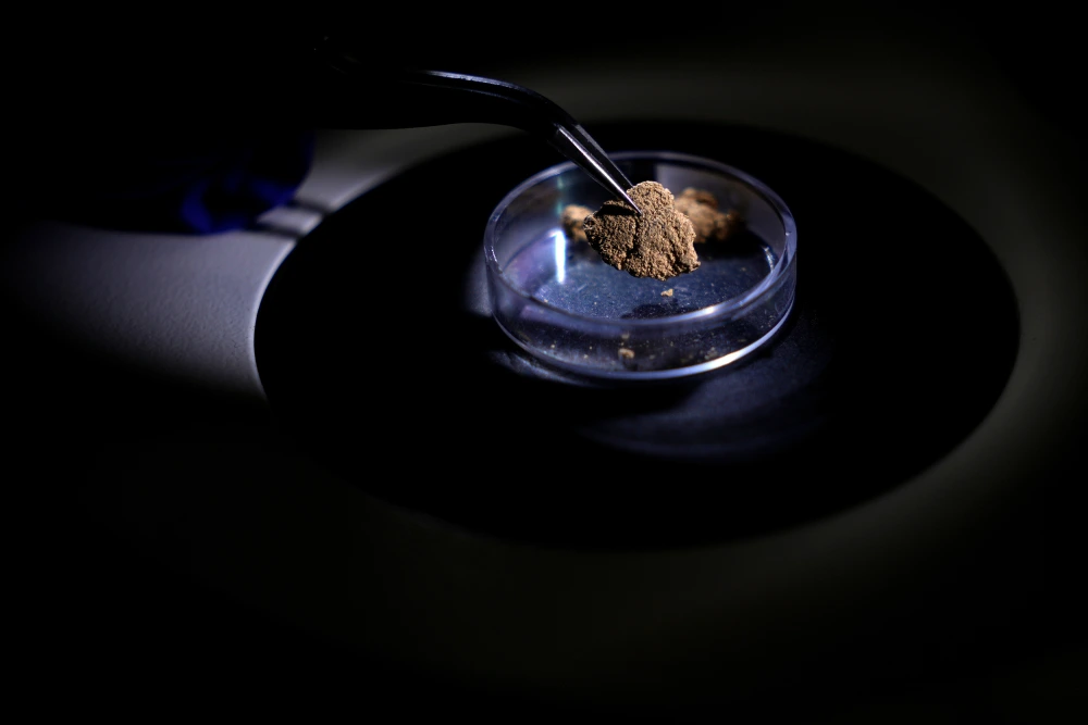 Brazil Turns to Forensic Science to Track Illegal Amazon Gold Mining Through ‘Gold Fingerprinting’